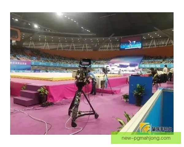 体操投注技巧大揭秘:提高胜率的四大关键要素 体操投注技巧大揭秘:提高胜率的四大关键要素