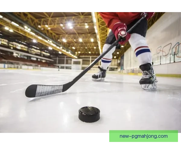 全新冰球规则大揭秘：赛场风云变幻，背后秘辛揭开一角