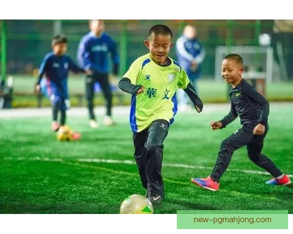 全球足球大联赛探秘：胜利之路与困境挑战