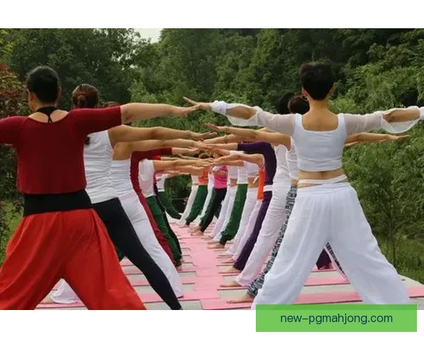 全球瑜伽邀请赛：身心灵的融合之旅