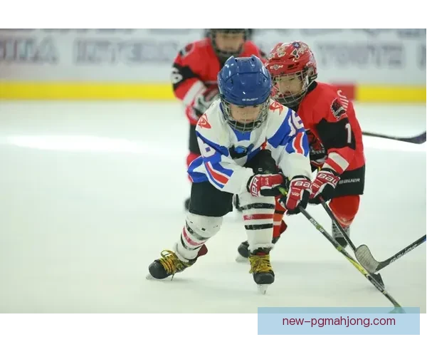 冰球公开赛：冰上热血激战 绽放运动激情