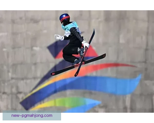 冰雪飞扬 镜头定格 挑战极限 冠军皆你