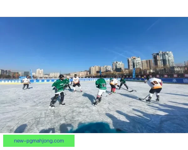 冰球赛事全程回放，精彩瞬间尽收眼底