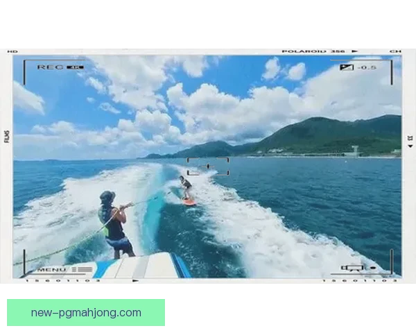 学会冲浪：浪涌之间的技巧与乐趣