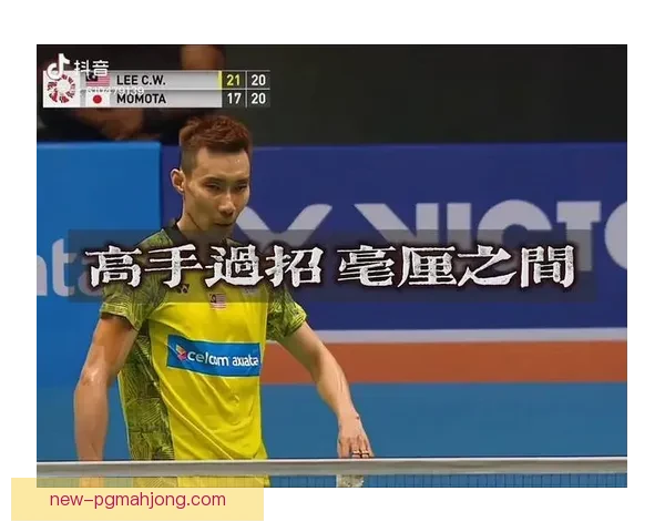 掌握数据,解读羽毛球胜负趋势 掌握数据,解读羽毛球胜负趋势