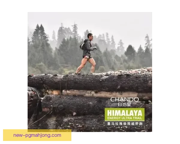 探险乐园:极限越野跑全程直播 探险乐园:极限越野跑全程直播