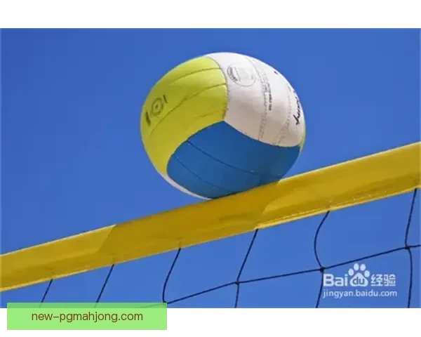 排球规则解读及技术训练要点