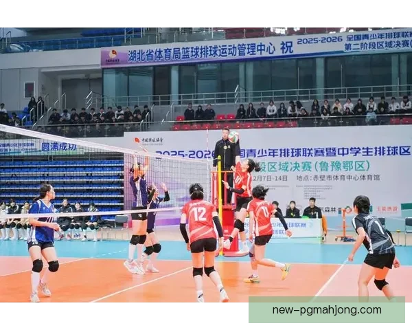 排球杯赛激烈角逐，谁能夺魁风光无限