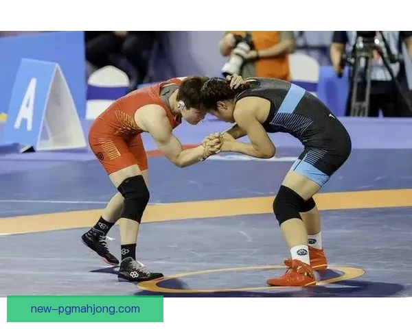 摔跤冠军的荣耀与辉煌:力量与技巧的完美融合 摔跤冠军的荣耀与辉煌:力量与技巧的完美融合