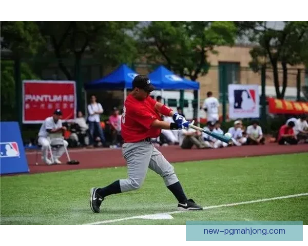 棒球巅峰之战：争夺冠军的激烈角逐