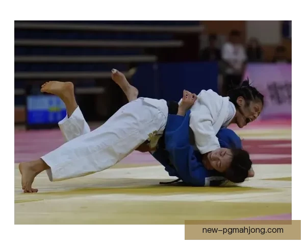 柔道锦标赛：格斗之美展现无限风采