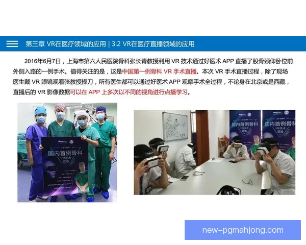 柔道数据解读：技术分析与实战策略