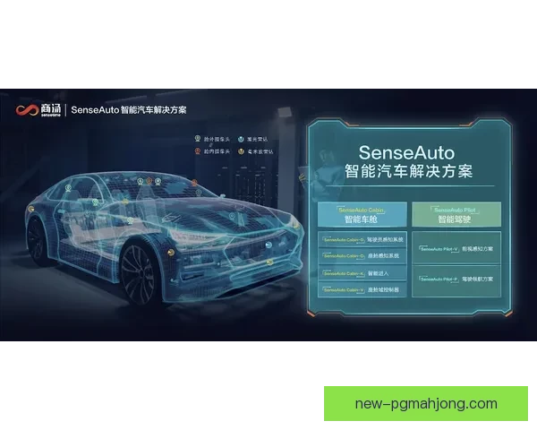 柔道盘口分析：技术、实力与策略的对决