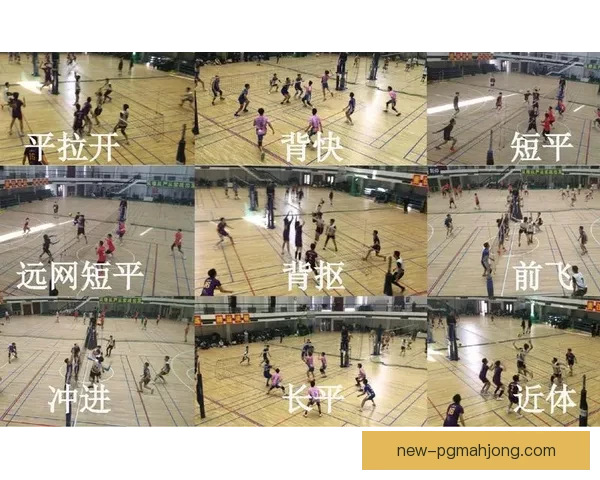 深度解析排球比赛数据统计及技术战术应用