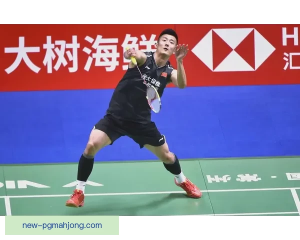 羽毛球对战战术解析及技能提升指南