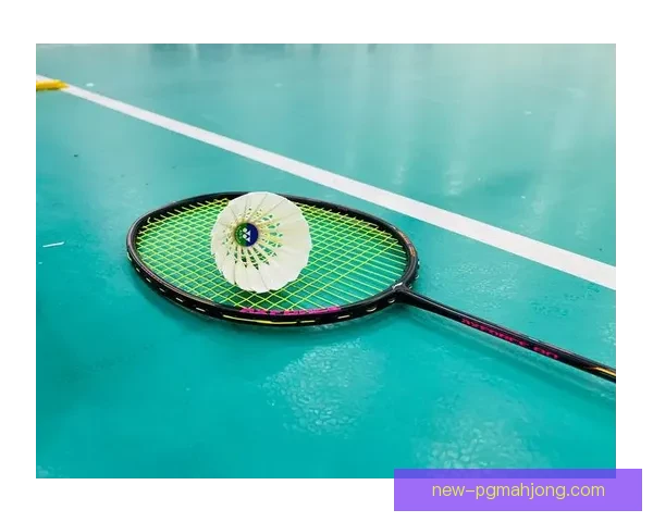 羽毛球比分即时更新，全程实时关注