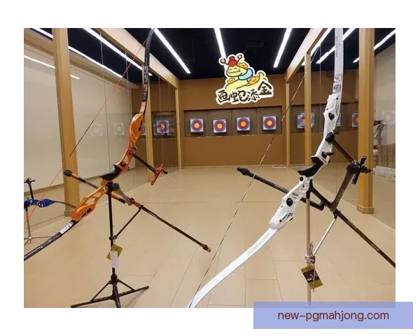 精准射箭：技巧解析与实战训练