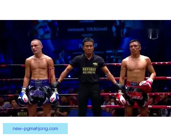 超强制胜拳击技巧解析与实战训练指南