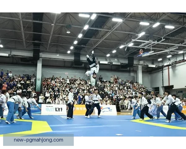 跆拳道公开赛：竞技精彩，技艺纷呈