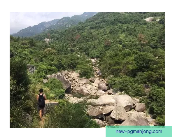 越野跑赛事实时数据直播：全程记录，最新进展一手掌握