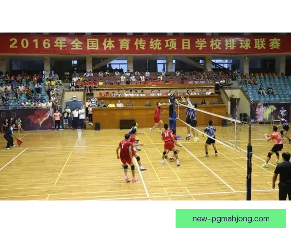 高校排球公开赛争锋，学子飒爽登场共创辉煌