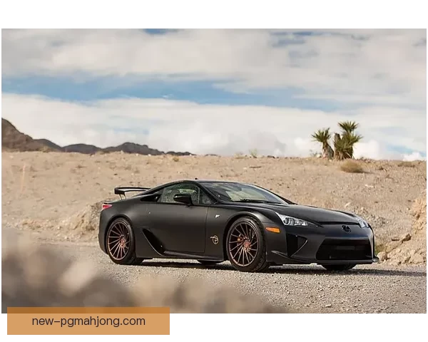 重量挑战者风云榜：谁将脱颖而出？